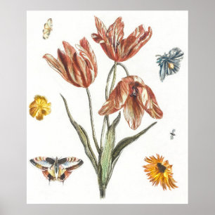 Illustration alter Schmetterlinge Poster
