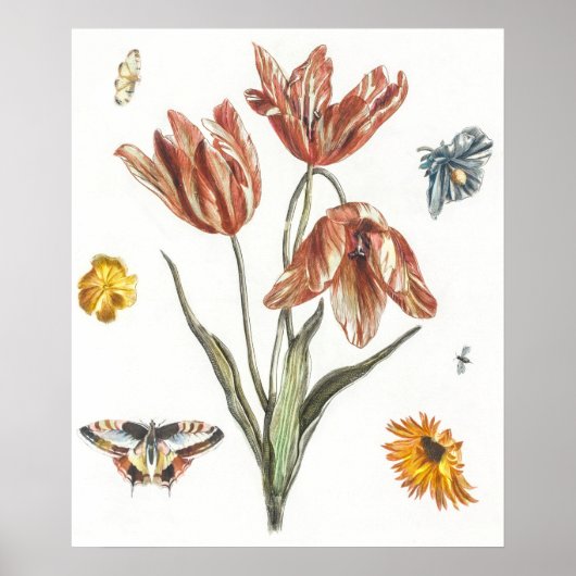 Illustration alter Schmetterlinge Poster (Vorne)