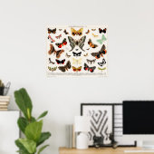 Illustration alter Schmetterlinge Poster (Heimbüro)