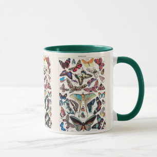 Illustration alter Schmetterlinge von Adolphe Mill Tasse
