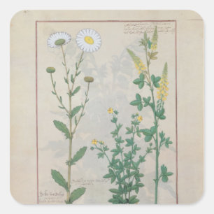 Illustration aus "Das Buch des Einfachen Quadratischer Aufkleber