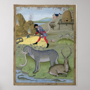 Illustration aus dem "Buch des Einfachen Poster