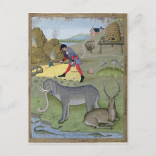 Illustration aus dem "Buch des Einfachen Postkarte