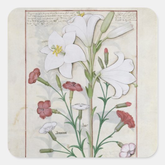 Illustration aus dem "Buch des Einfachen Quadratischer Aufkleber (Vorderseite)