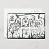 Illustration aus einem Buch über das Gärtnern Postkarte (Vorne/Hinten)