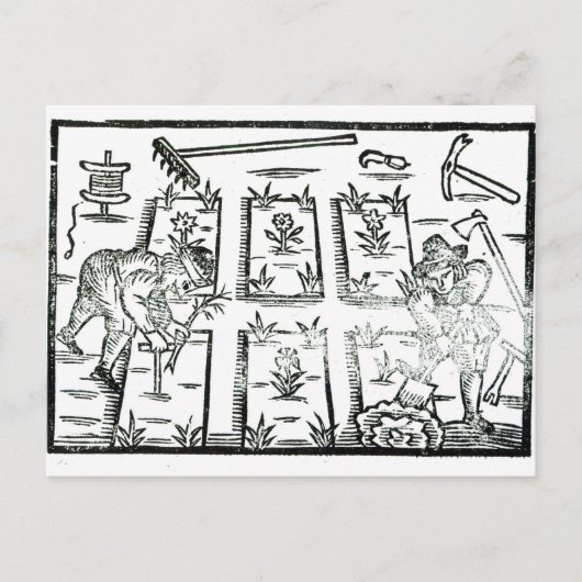 Illustration aus einem Buch über das Gärtnern Postkarte (Vorderseite)