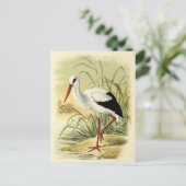 Illustration cigogne postkarte (Stehend Vorderseite)