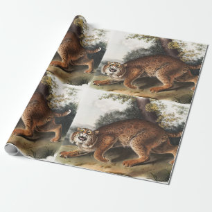 Illustration der amerikanischen Wildkatze (Lynx ru Geschenkpapier