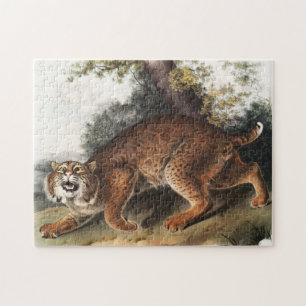 Illustration der amerikanischen Wildkatze (Lynx ru Puzzle