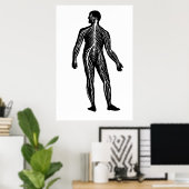 Illustration der Anatomie des menschlichen Nervens Poster (Heimbüro)