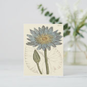 Illustration der Blauwasserlilie Postkarte (Stehend Vorderseite)