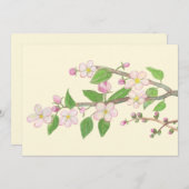 Illustration der blühenden Apfelbaum Feiertagskarte (Vorne/Hinten)