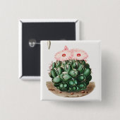 Illustration der Blüte des Elefantenzahnkaktus Button (Vorne & Hinten)