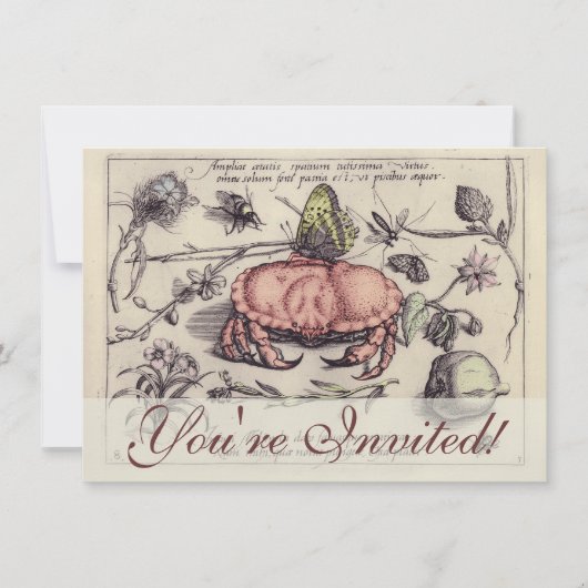 Illustration der botanischen Insekten-Blume Einladung (Vorderseite)