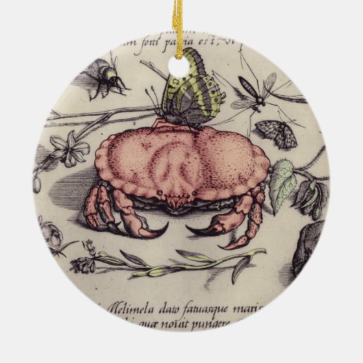 Illustration der botanischen Insekten-Blume Keramik Ornament (Hinten)