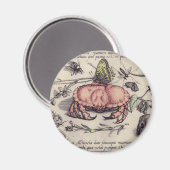 Illustration der botanischen Insekten-Blume Magnet (Vorderseite/Rückseite)