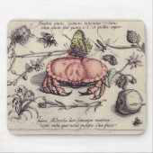 Illustration der botanischen Insekten-Blume Mousepad (Vorne)
