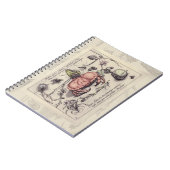 Illustration der botanischen Insekten-Blume Notizblock (Linke Seite)