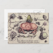 Illustration der botanischen Insekten-Blume Postkarte (Vorne/Hinten)