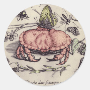 Illustration der botanischen Insekten-Blume Runder Aufkleber