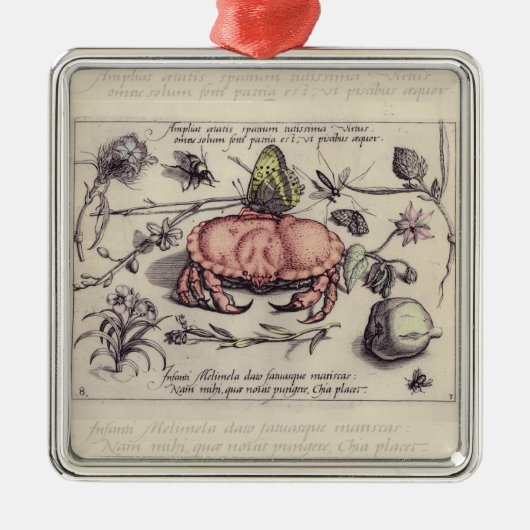 Illustration der botanischen Insekten-Blume Silbernes Ornament (Vorne)