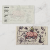 Illustration der botanischen Insekten-Blume Visitenkarte (Vorne/Hinten)