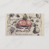 Illustration der botanischen Insekten-Blume Visitenkarte (Rückseite)