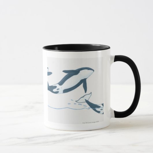 Illustration der Killerwale (Orcinus-Schwertwal) Tasse (Rechts)