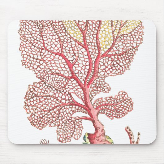 Illustration der Maus Pad Mousepad (Vorne)