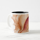 Illustration der Murex-Muschel Zweifarbige Tasse (Vorderseite Links)