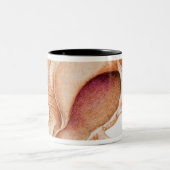 Illustration der Murex-Muschel Zweifarbige Tasse (Mittel)