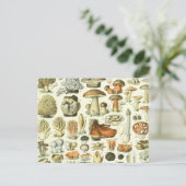 Illustration der Pilzwissenschaften - Vintage Bont Postkarte (Stehend Vorderseite)