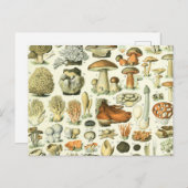 Illustration der Pilzwissenschaften - Vintage Bont Postkarte (Vorne/Hinten)