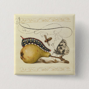 Illustration der Schmetterlingsbeere Button
