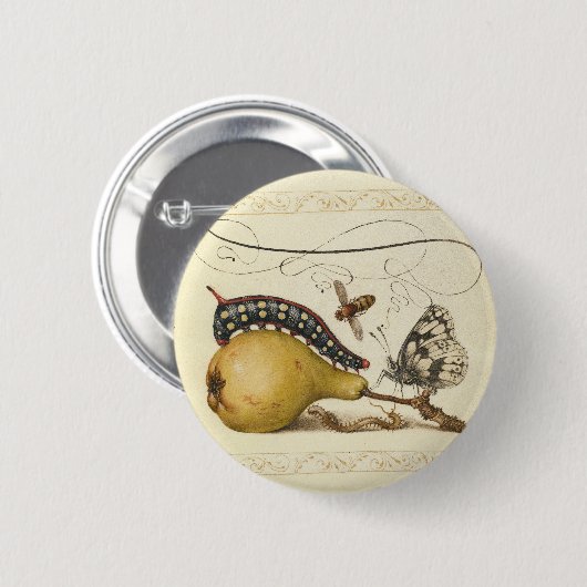 Illustration der Schmetterlingsbeere Button (Vorne & Hinten)