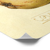 Illustration der Schmetterlingsbeere Poster (Ecke)