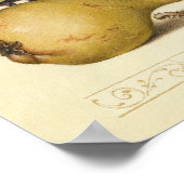 Illustration der Schmetterlingsbeere Poster (Ecke)