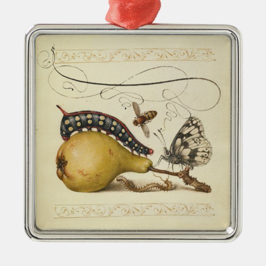 Illustration der Schmetterlingsbeere Silbernes Ornament (Vorne)
