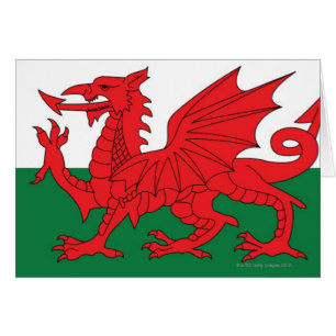 Illustration der Staatsflagge von Wales, mit Rot