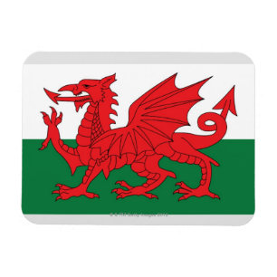 Illustration der Staatsflagge von Wales, mit Rot Magnet
