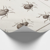 Illustration der Vintagen 1800er Insekten-Bugs-Käf Geschenkpapier (Ecke)
