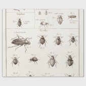 Illustration der Vintagen 1800er Insekten-Bugs-Käf Geschenkpapier (Flach)