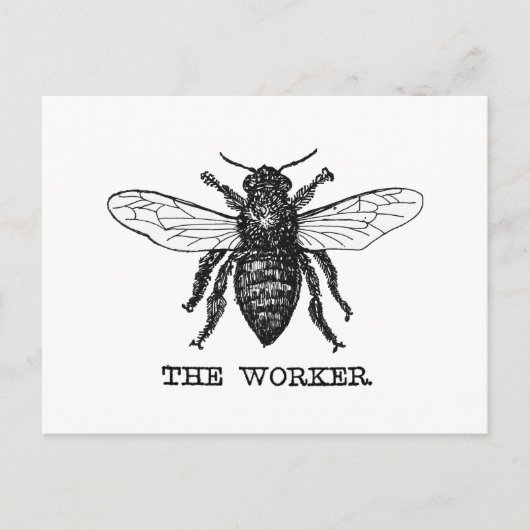 Illustration der Vintagen Arbeiterbiene Postkarte (Vorderseite)