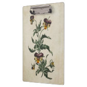 Illustration der Vintagen botanischen Blumenschärt Klemmbrett (Links)