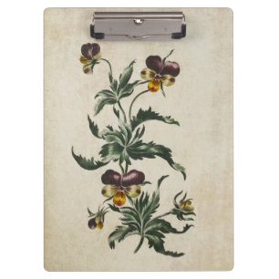 Illustration der Vintagen botanischen Blumenschärt Klemmbrett