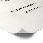 Illustration der Vintagen Muscheln Poster (Ecke)