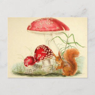 Illustration der Vintagen Natur - Eichhörnchen, Pi Postkarte