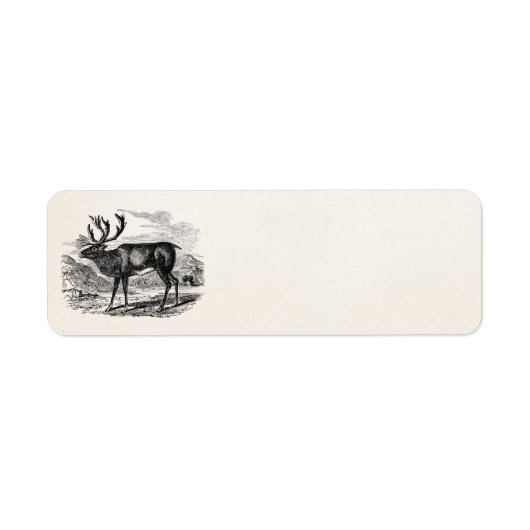 Illustration der Vintagen Rentier-Personalisierten (Vorne)