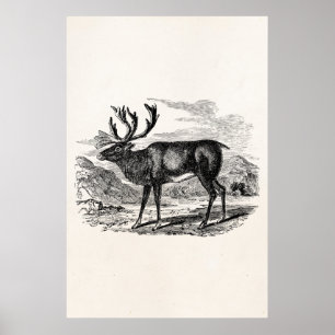 Illustration der Vintagen Rentier-Personalisierten Poster