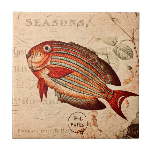 Illustration der Vintagen Rotfische Fliese (Vorderseite)